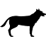 Hund Hund