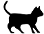 Katze Katze