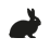 Hase Hase