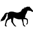 Pferd Pferd