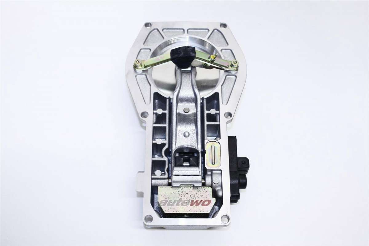 MOD : WRLD IC CHIP CLUB WALLET☆カーキグレー