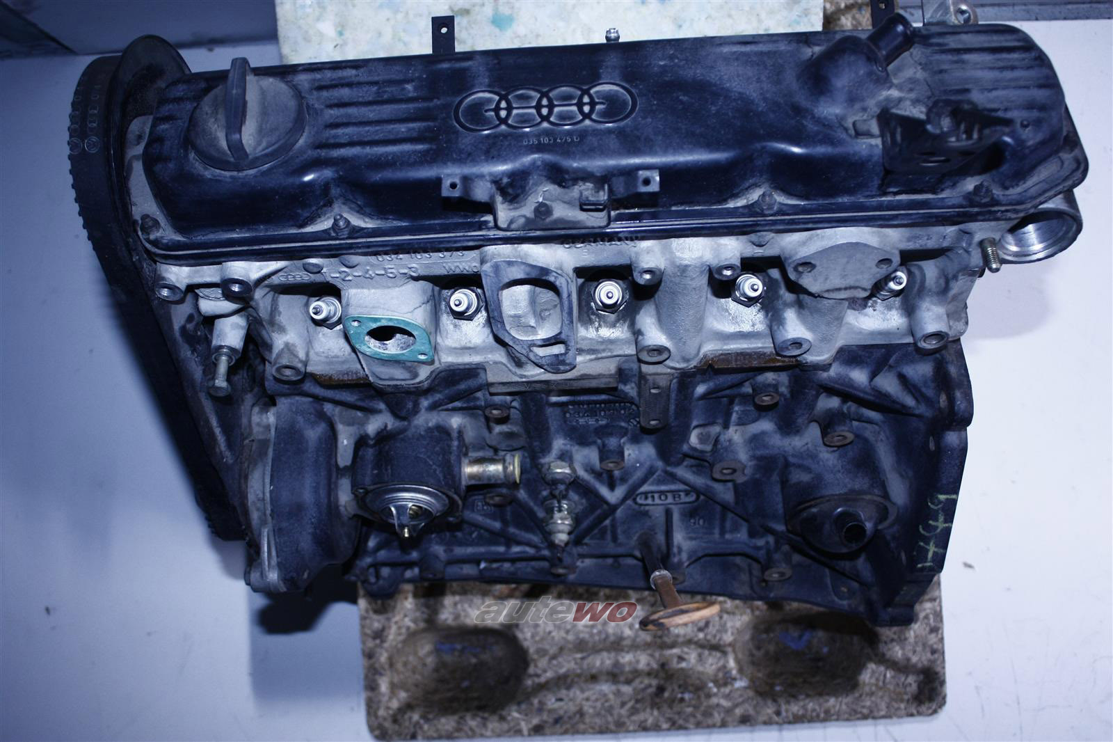 In der Gnade von Verdrehte Leiden kv motor audi Student reflektieren Mammut