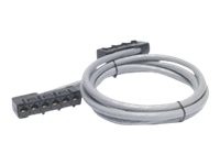 APC Data Distribution Cable - Netzwerkkabel - RJ-45 (W) bis RJ-45 (W) - 11.3 m - UTP - CAT 5e