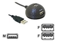 DeLOCK Adapter USB 2.0 Dockingstation - USB-Verlängerungskabel - USB (M) bis USB, USB (nur Strom) (W