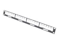 APC - Kabelmanagement - 1U - für P/N: AR106SH4, AR106SH6, AR106V, AR106VI, AR109SH4, AR109SH6, AR112