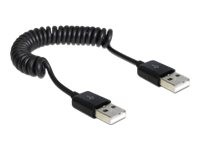 DeLOCK - USB-Kabel - USB (M) bis USB (M) - USB 2.0 - 60 cm - gewickelt