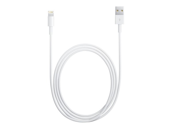 Apple - Lightning-Kabel - Lightning (M) bis USB (M) - 1 m - für Apple iPad/iPhone/iPod (Lightning)