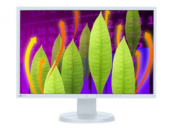 EIZO FlexScan EV2216WFS3-GY - LED-Monitor - 55.8 cm (22") - 1680 x 1050 - TN - 250 cd/m²