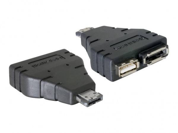 DeLOCK Power Over ESATA adapter - Power Over eSATA-Adapter - Serial ATA 150/300 - USB, eSATA bis eSA