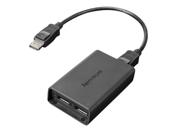 Lenovo - DisplayPort-Adapter - DisplayPort (M) bis DisplayPort (W) - für ThinkCentre M70; M700; M710