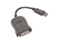 Lenovo - DVI-Kabel - Single Link - DisplayPort (M) bis DVI-D (W) - 20 cm - Grau