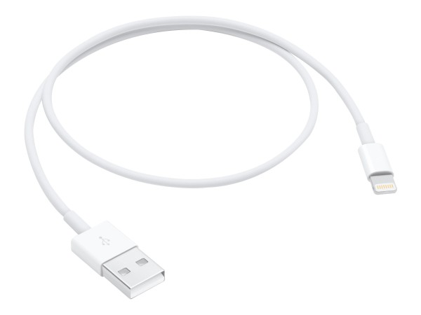 Apple - Lightning-Kabel - Lightning (M) bis USB (M) - 50 cm - für Apple iPad/iPhone/iPod (Lightning)
