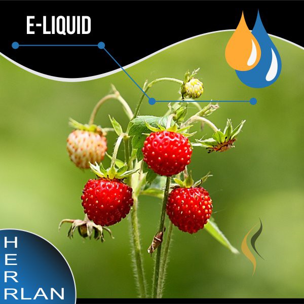 HERRLAN WaldErdbeere Liquid