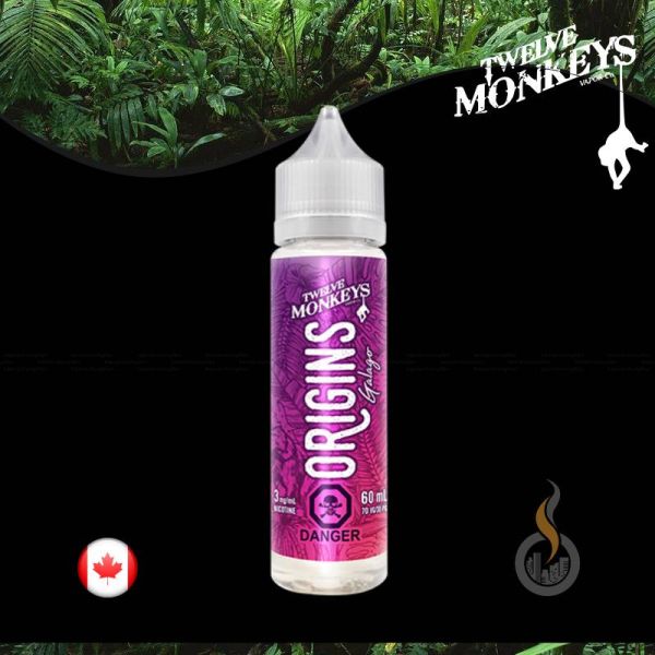TWELVE MONKEYS ORIGINS Galago