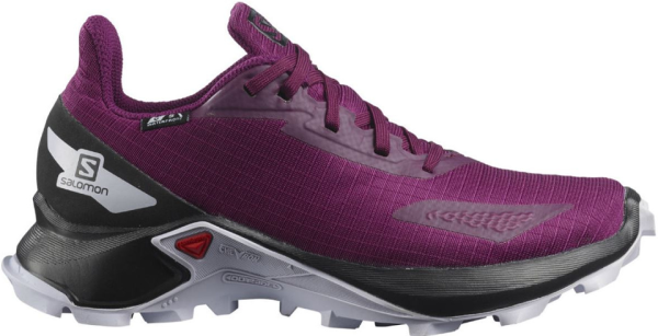 SALOMON Kinder Freizeitschuhe SHOES ALPHACROSS BLAST