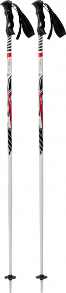 TECNOPRO Herren Skistöcke "Carve SR"