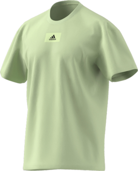 ADIDAS Herren Shirt M FV T