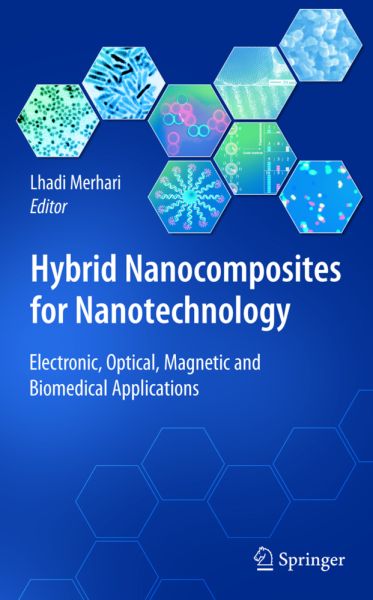 Hybrid Nanocomposites for Nanotechnology: Electronic, Optical, Magnetic and Biomedical Applications - Springer Berlin,S...
