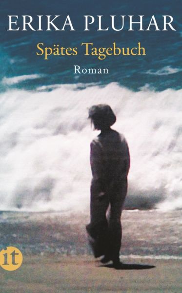 Spätes Tagebuch: Roman - Insel Verlag