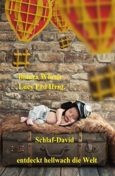 Schlaf-David entdeckt hellwach die Welt - epubli