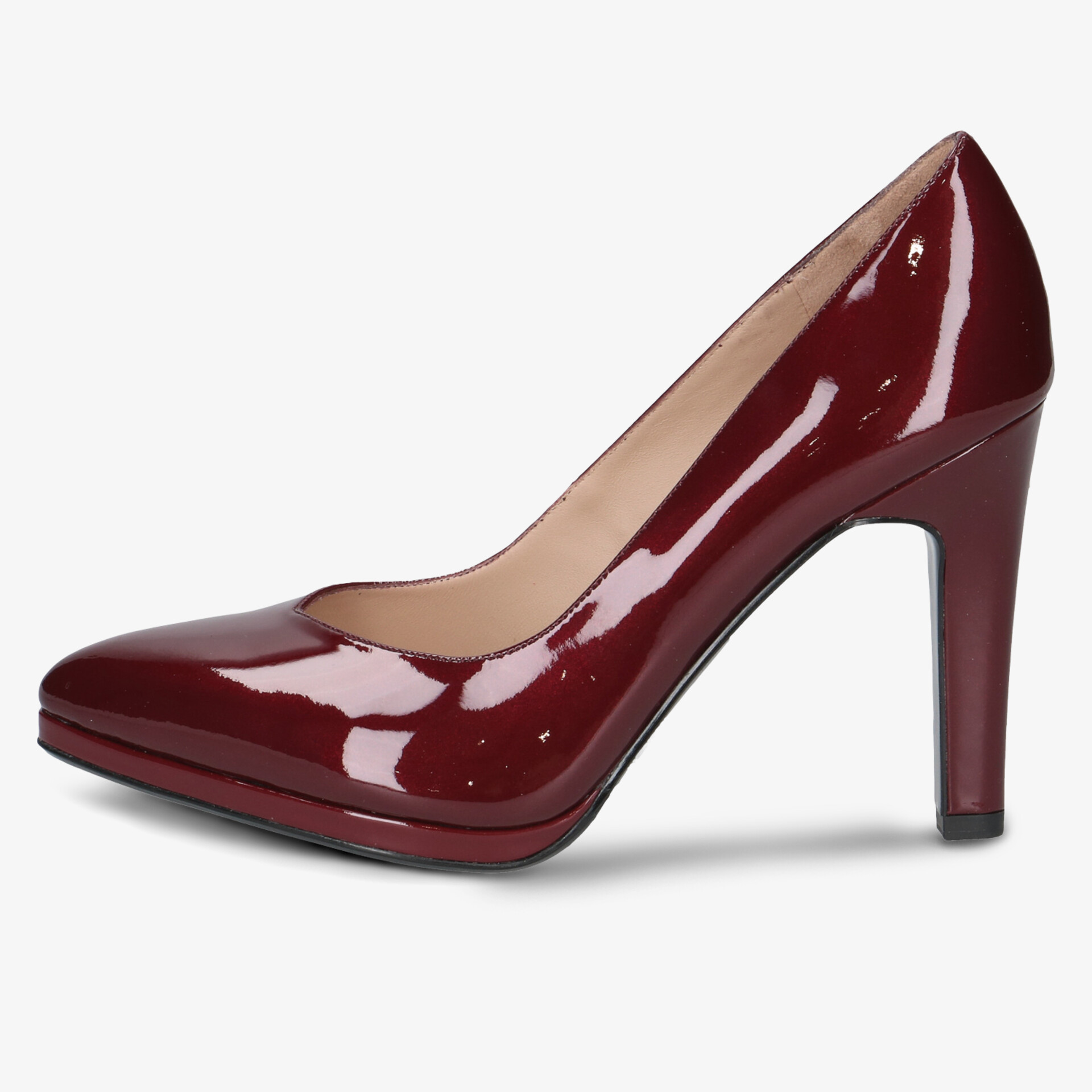 009-72445-44-503-270