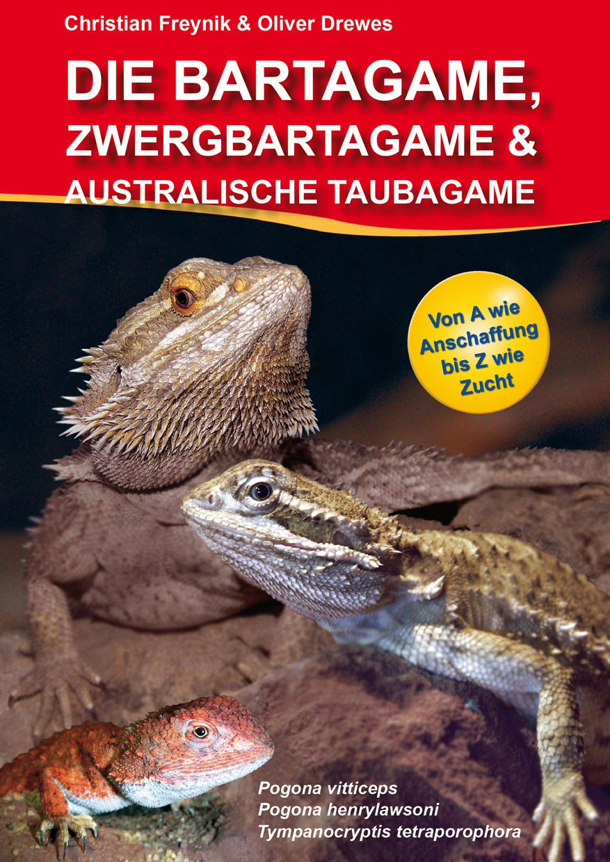 Die Bartagame, Zwergbartagame und australische Taubagame (Christian Freynik & Oliver Drewes)