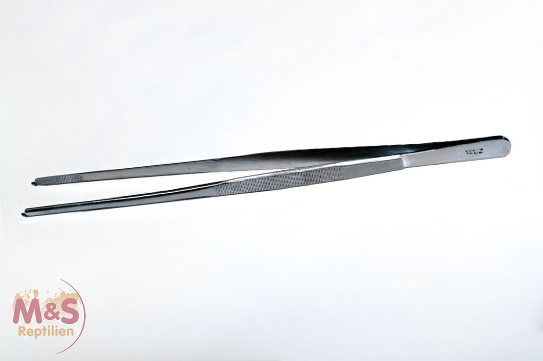 Pinzette, sehr groß