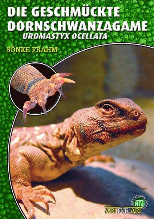 Die Geschmückte Dornschwanzagame - Uromastyx ocellata (Söhnke Fram)