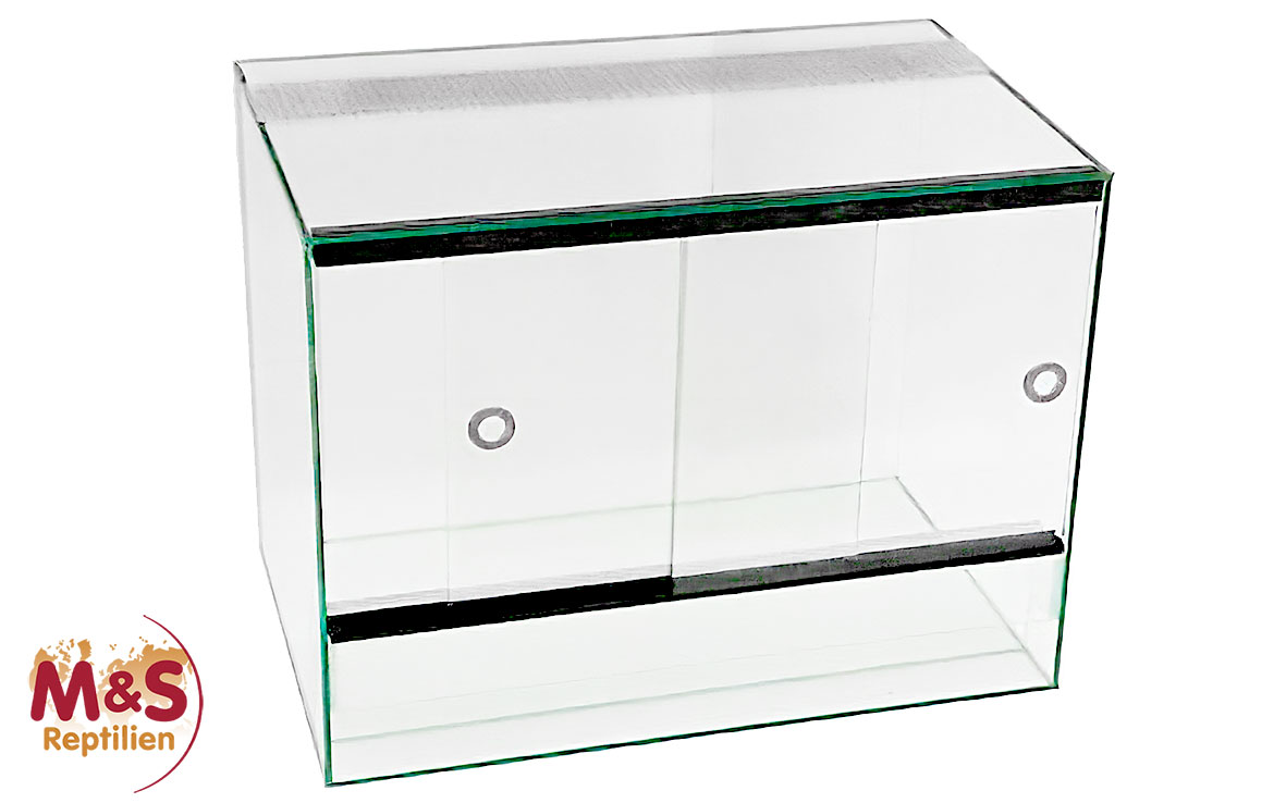 NUR ABHOLUNG: Standard-Terrarium, 40x25x30 cm (kein Versand)