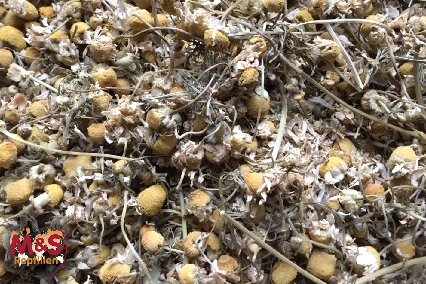 Kamillenblüten, getrocknet (200 g)