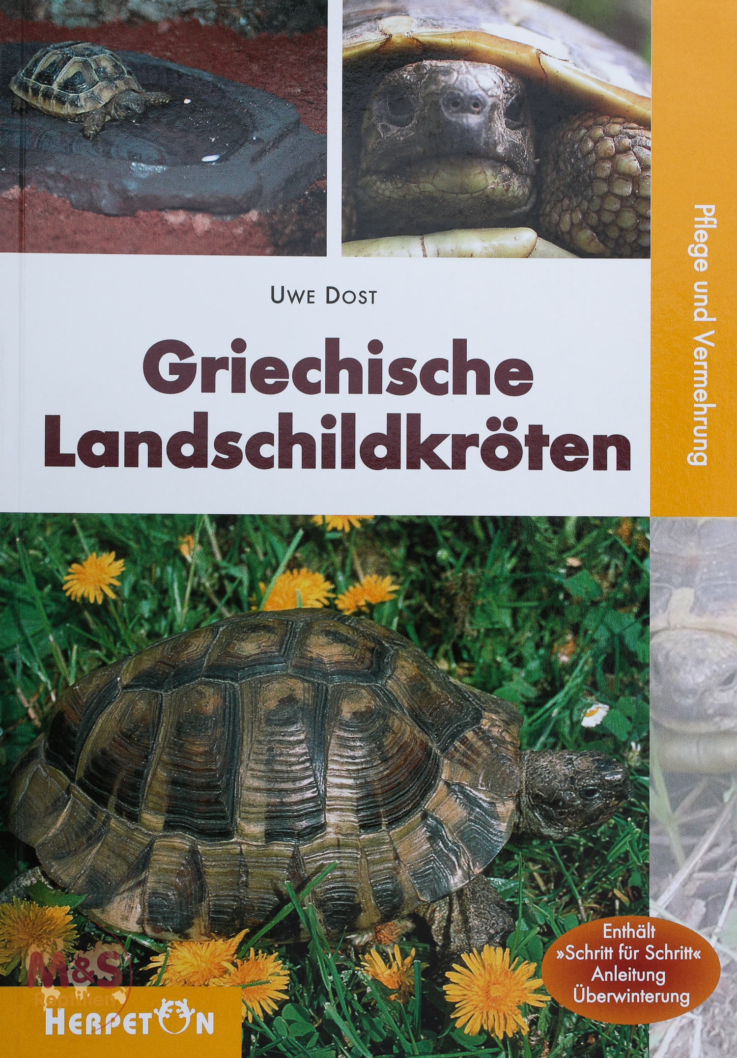 Griechische Landschildkröten - Pflege und Vermehrung (Uwe Dost)
