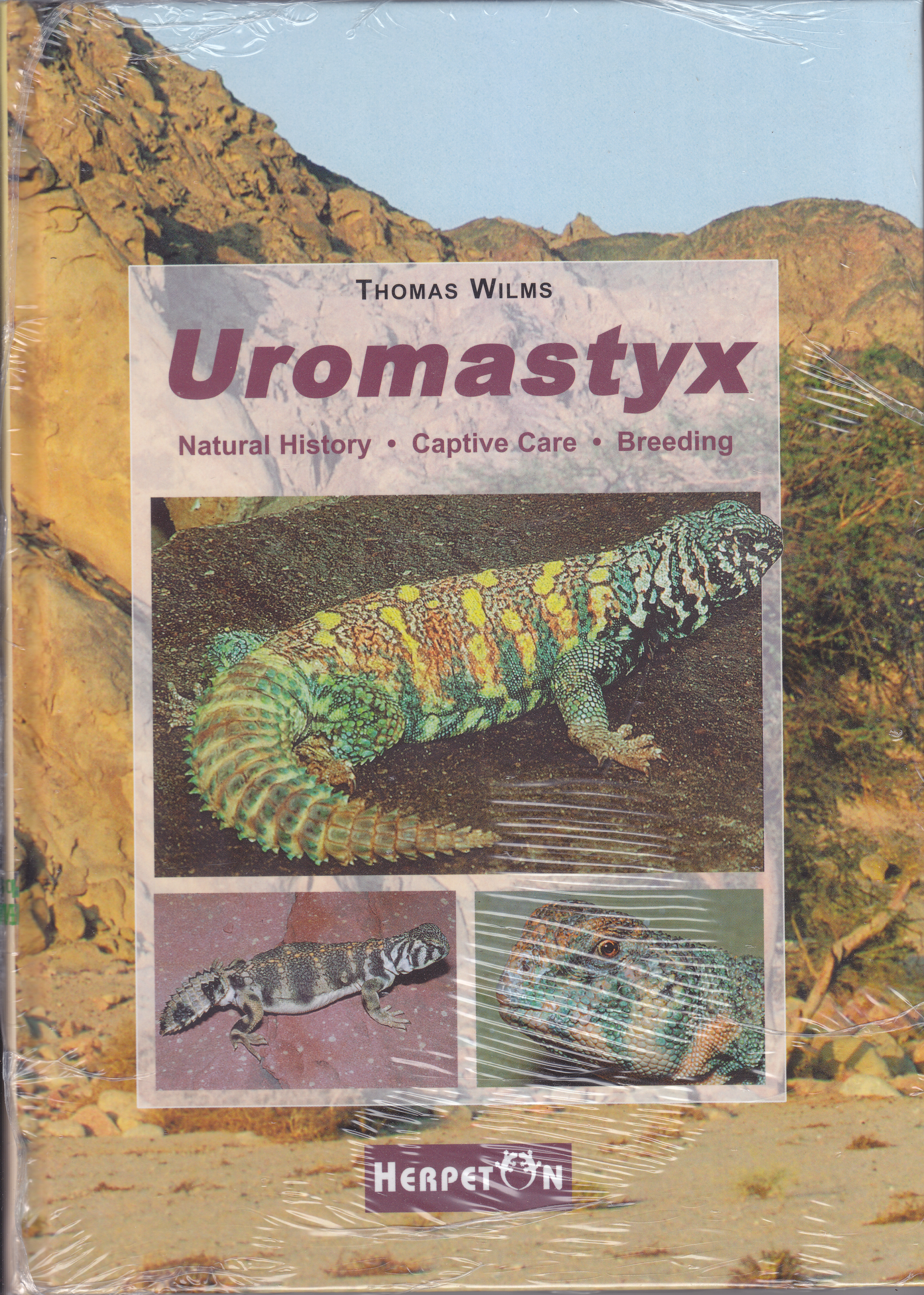 Uromastyx (Thomas Wilms)
