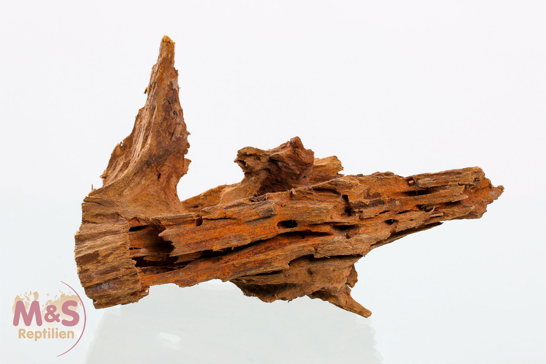 Mangrovenwurzel - small 20-30cm