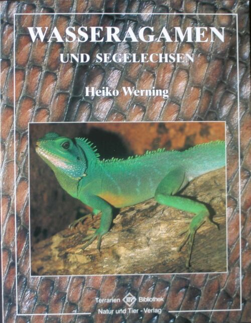 Wasseragamen und Segelechsen (Heiko Werning)