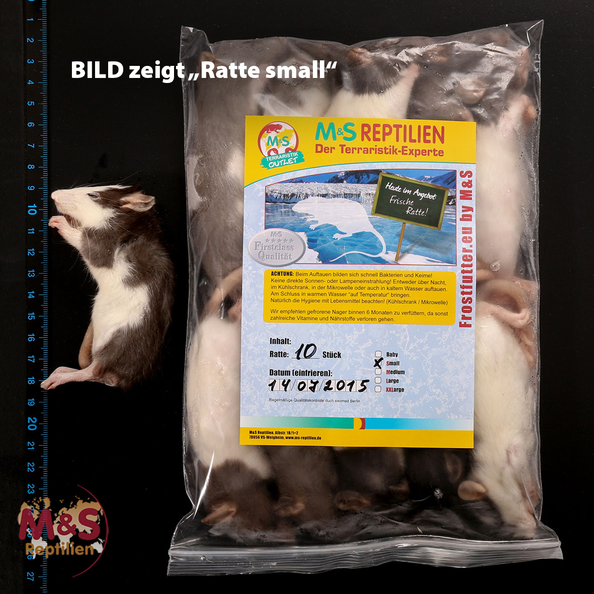 1 (einzelne) Ratte XS, gefroren, ca. 30-40g