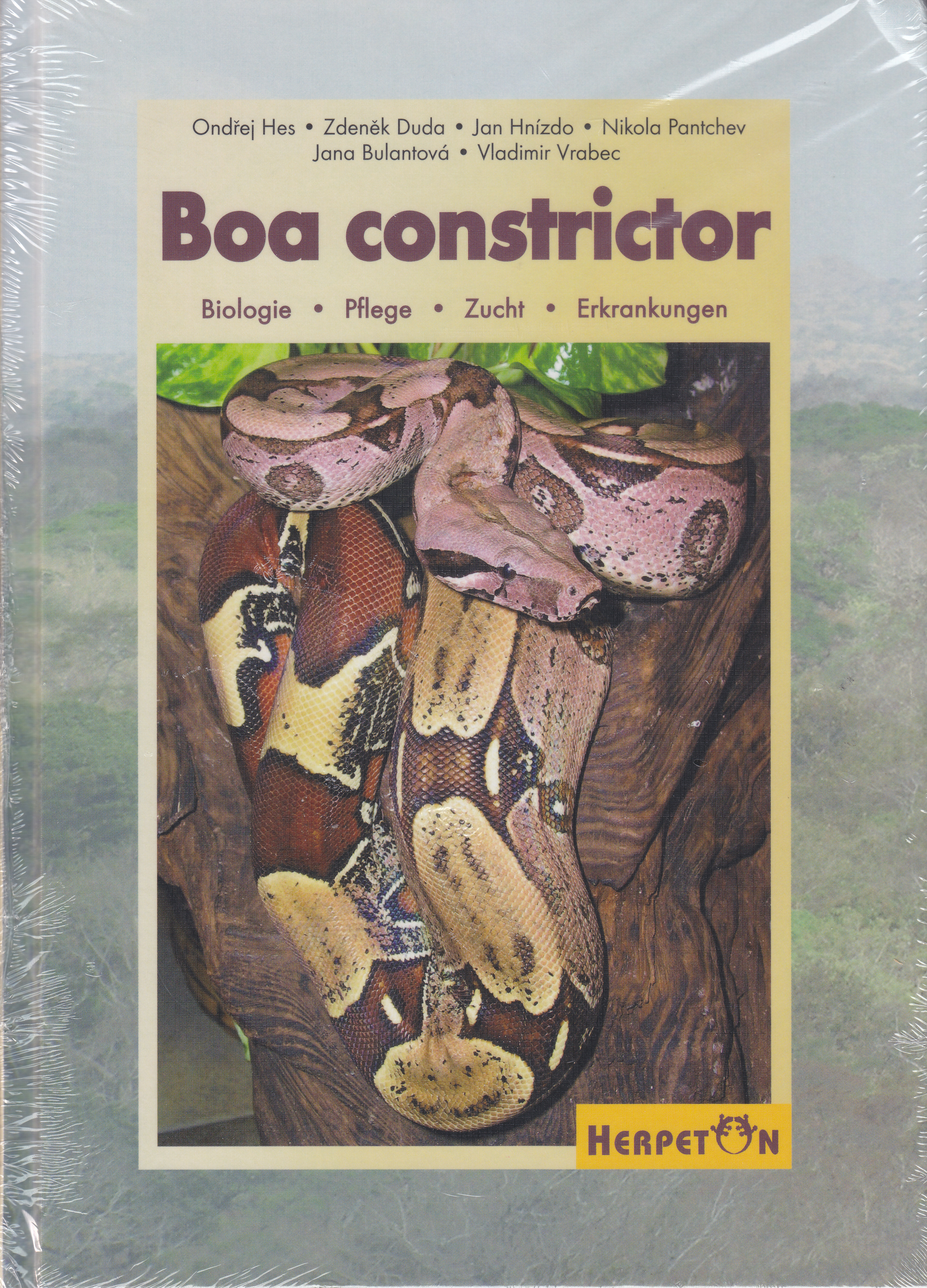 Boa constrictor - Biologie, Pflege, Zucht, Erkrankungen (Hes & andere)