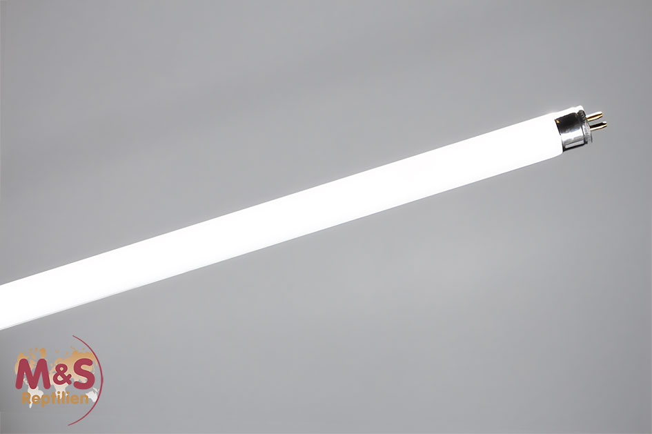 Ersatz Desert T5 Röhre mit 10% UVB, 24 Watt 54,9 cm (LLT51024)