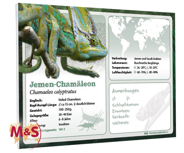 Terrarienschild (Zooschild) Jemen-Chamäleon, Chamaeleo calyptratus