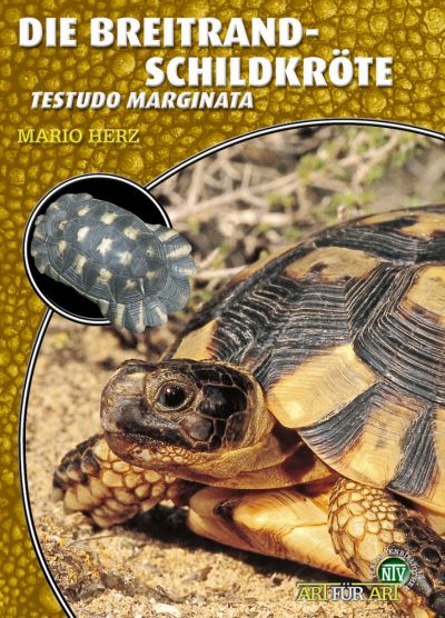 Die Breitrandschildkröte - Testudo marginata (Mario Herz)