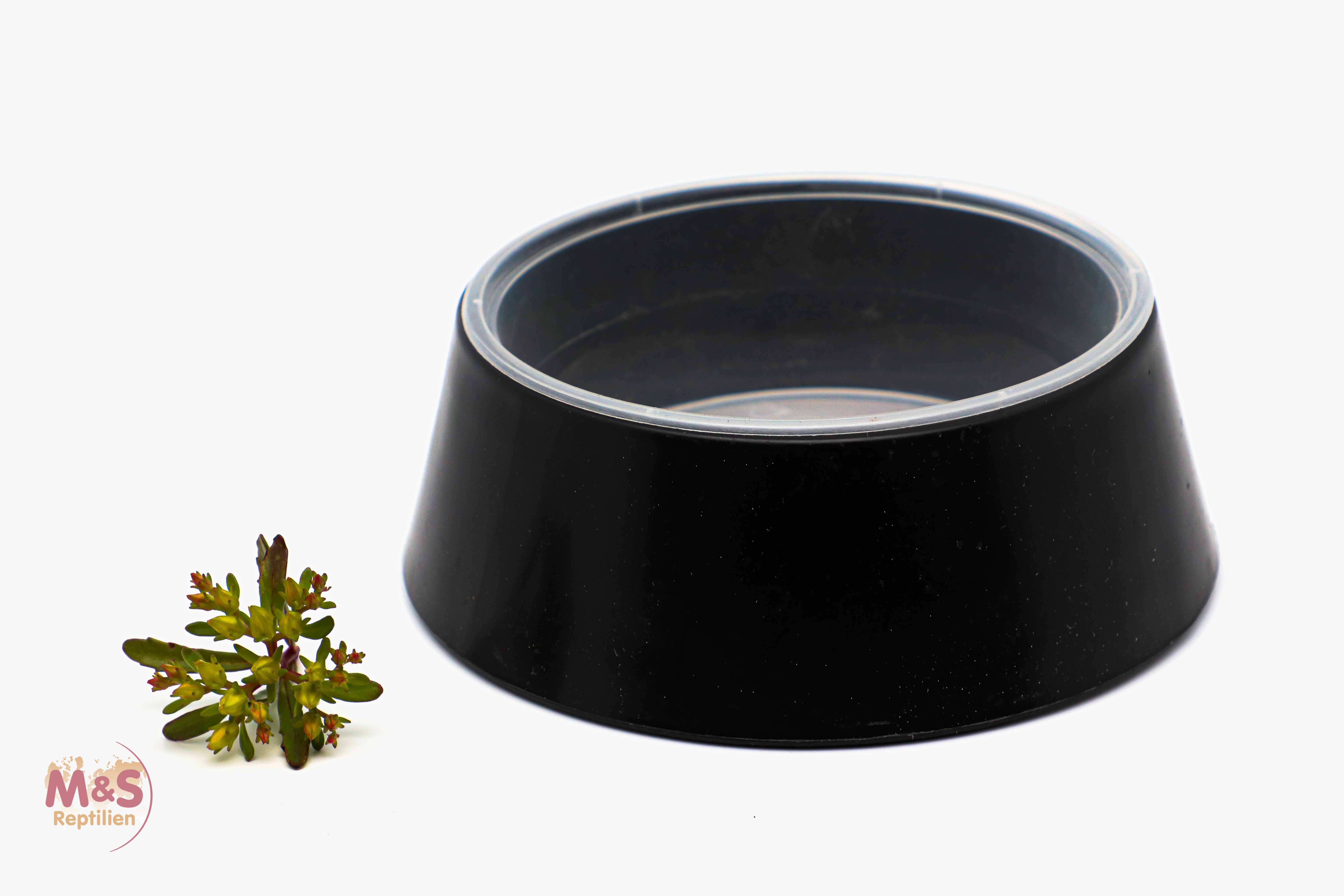 Einweg Wasserschalen-Set Halterung ( Cup Holder ) inkl.10 PP-Bechern ca.300 ml