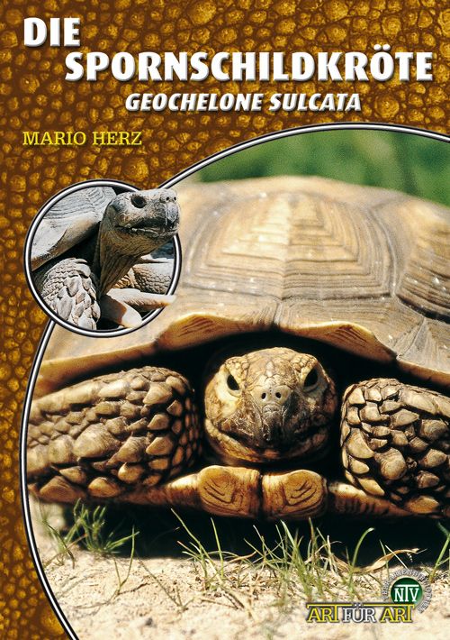 Die Spornschildkröte - Geochelone sulcata (Mario Herz)