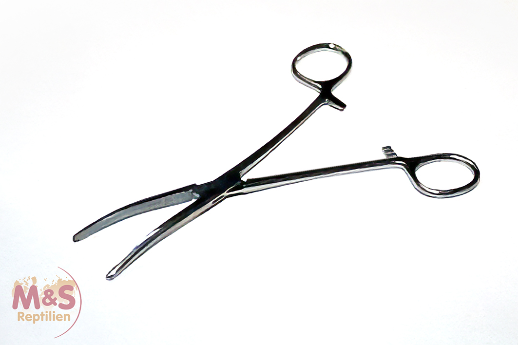 Zange, klein, gebogen