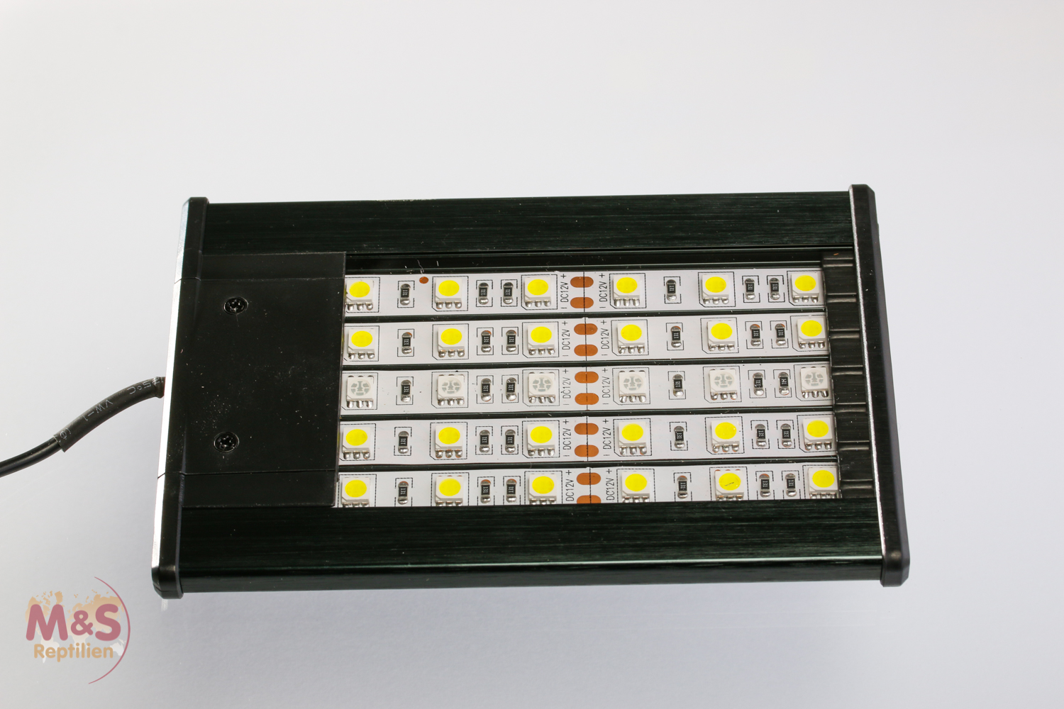 ReptiZoo LED Terrarienlampe, 6 Watt (13x9 cm) (LED001)