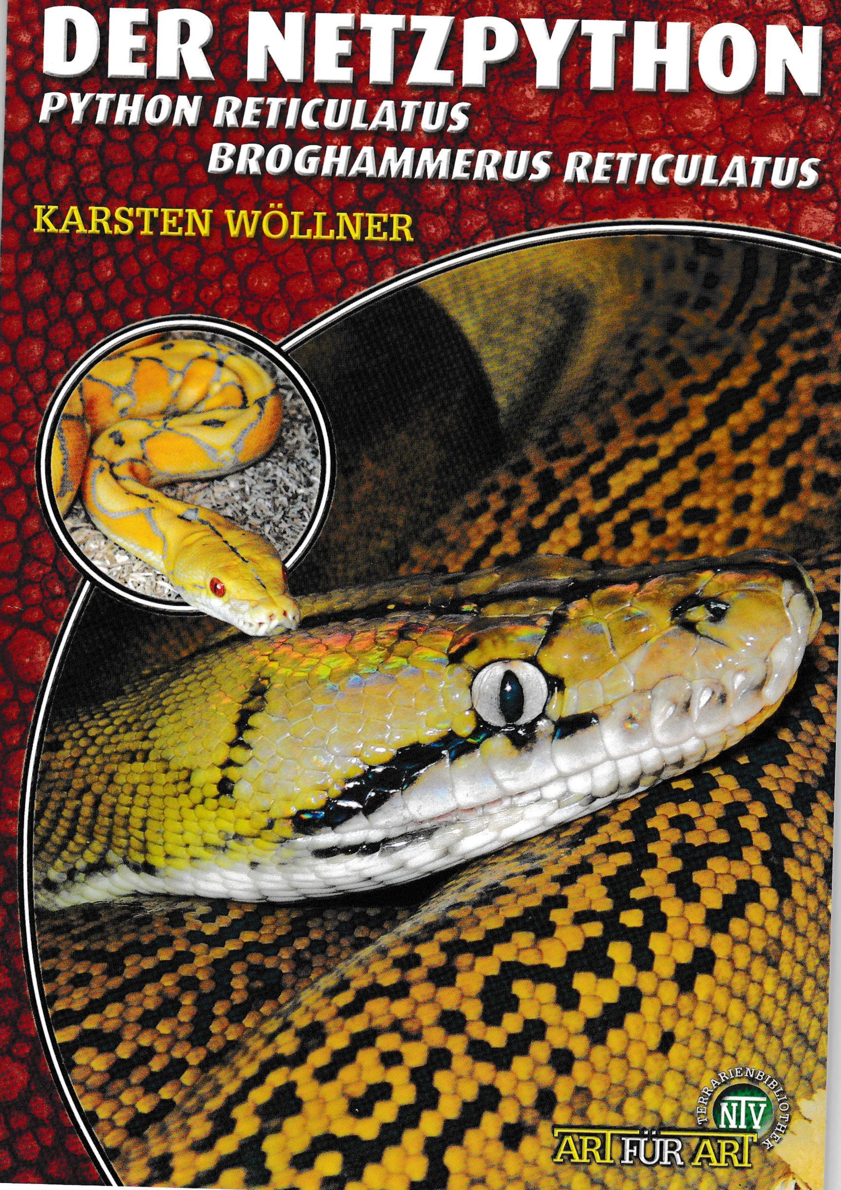 Der Netzpython - Broghammerus reticulaus (Karsten Wöllner)