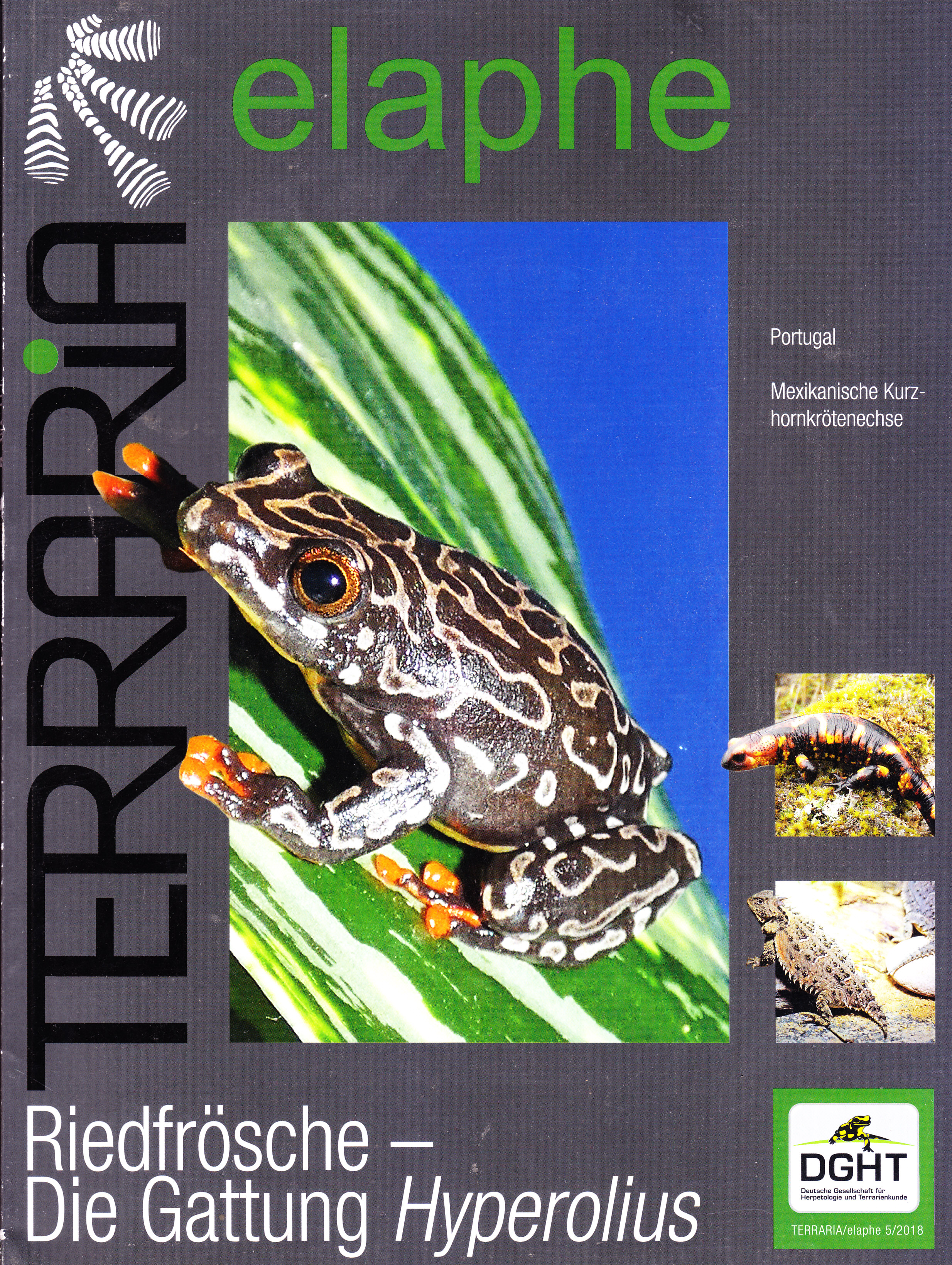 elaphe Fachzeitschrift des DGHT  05/2018