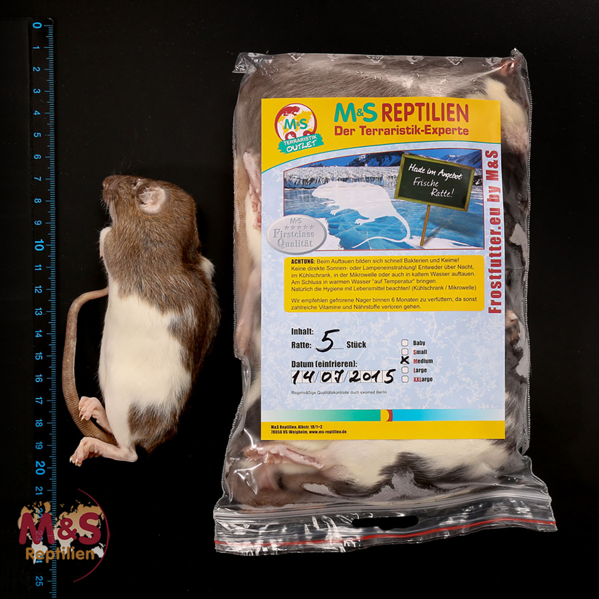 1 (einzelne) Ratte mittel, gefroren, ca. 100-150g