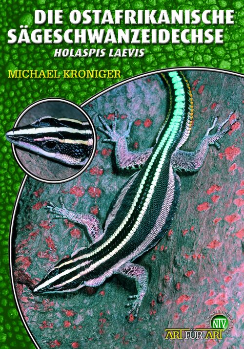 Die Ostafrikanische Sägeschwanzeidechse - Holaspis laevis (Michael Kroniger)