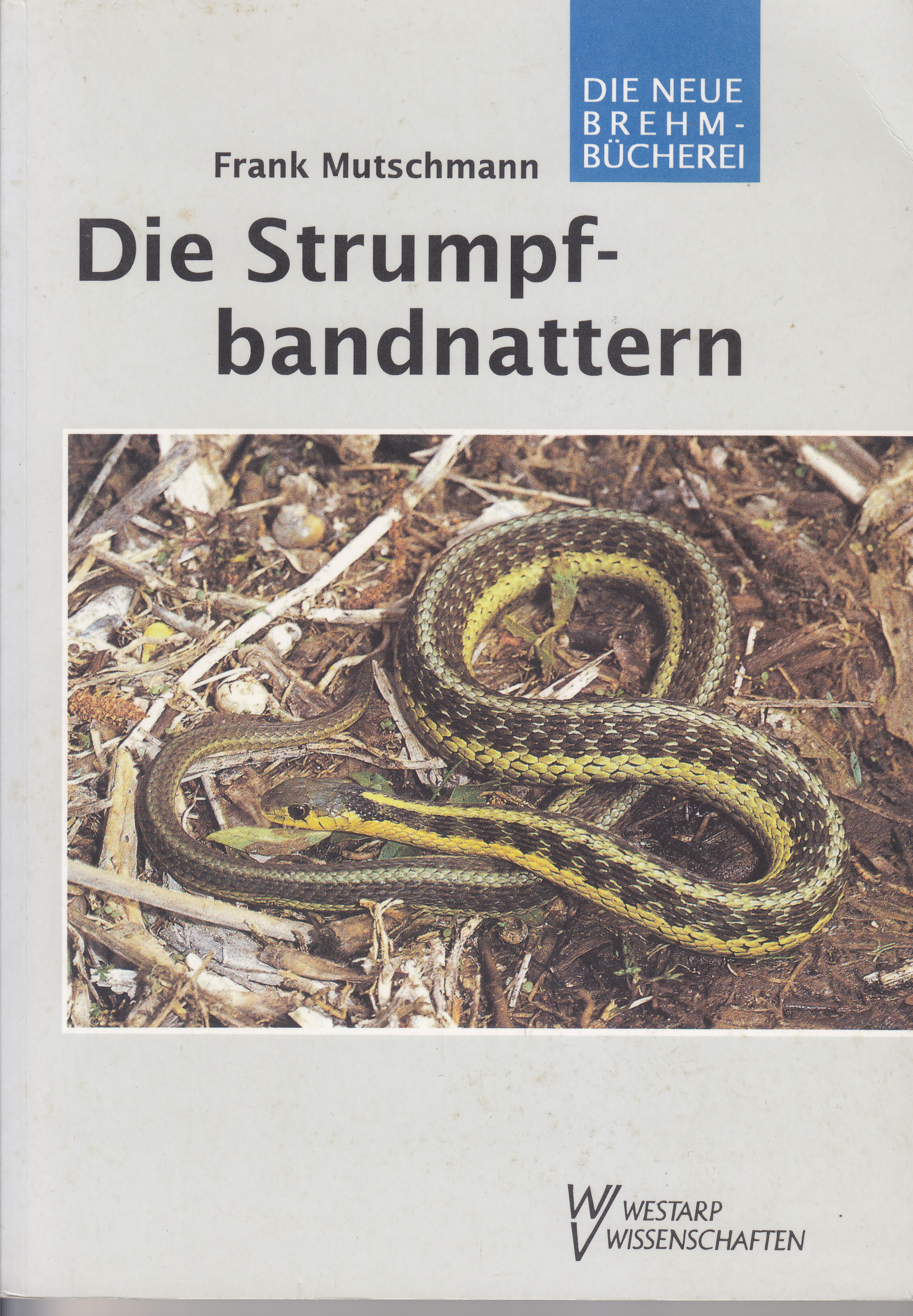 antiquarischer Restposten: Die Strumpfbandnattern (Dr. med. vet. Frank Mutschmann)