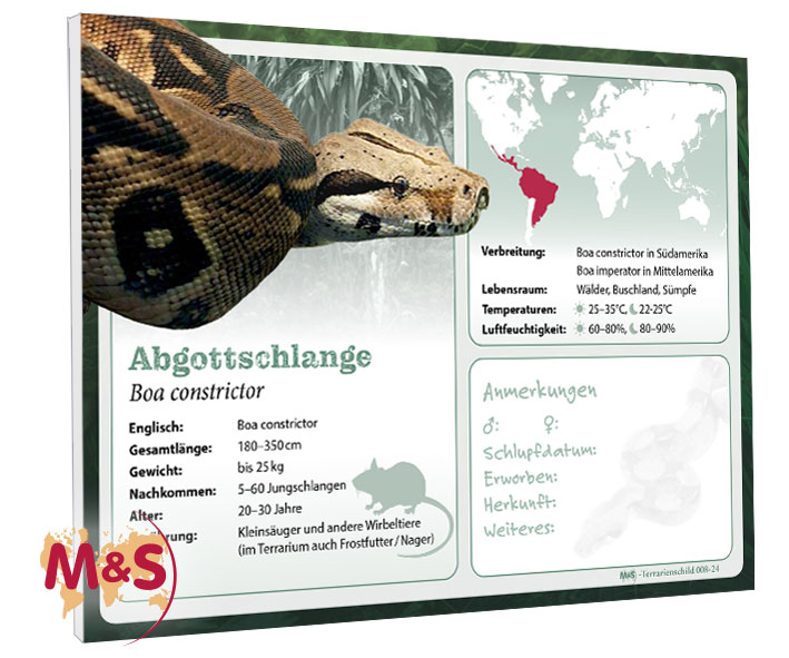 Terrarienschild (Zooschild) Abgottschlange, Boa constrictor