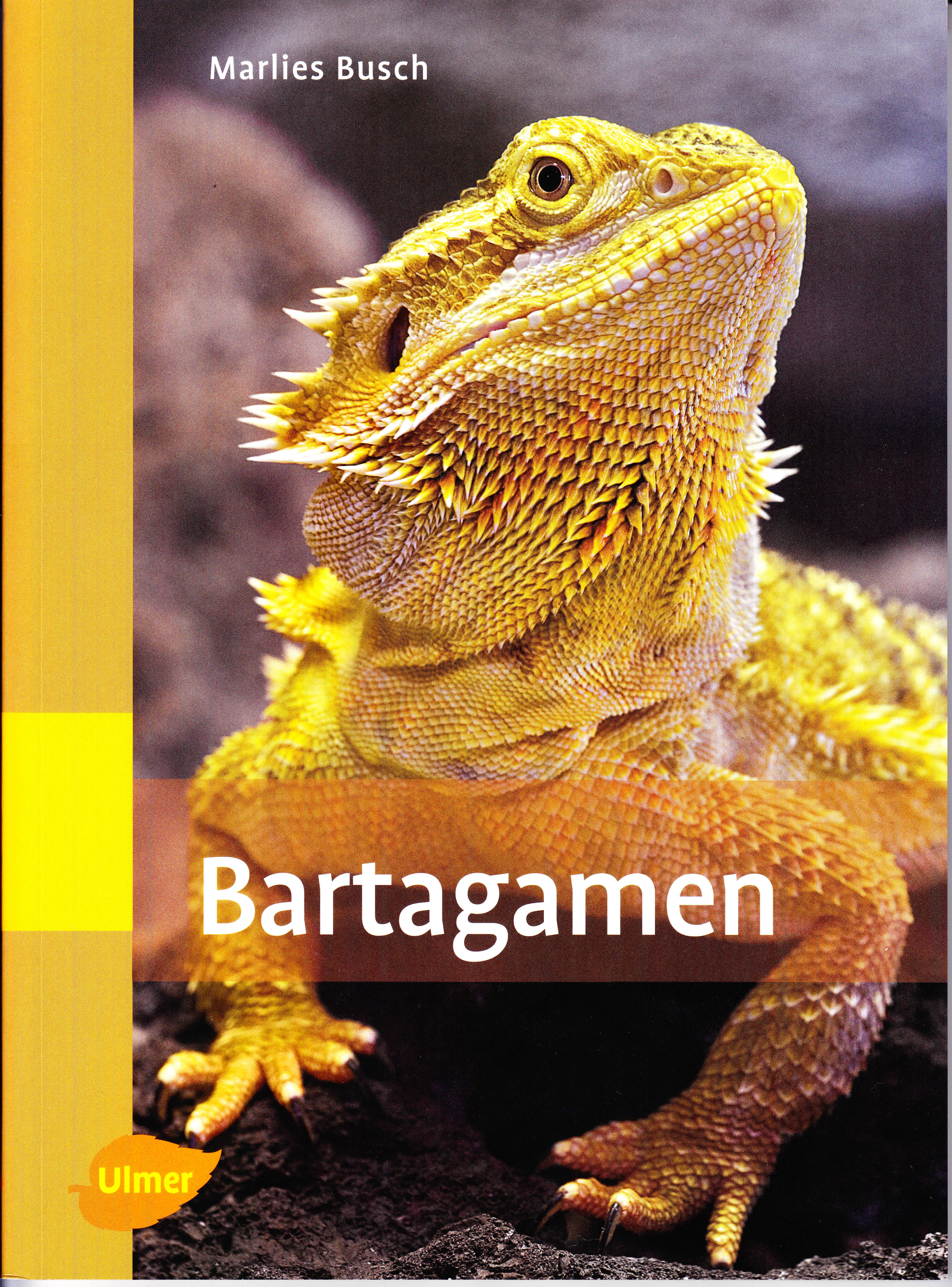 Bartagamen (Marlies Busch)
